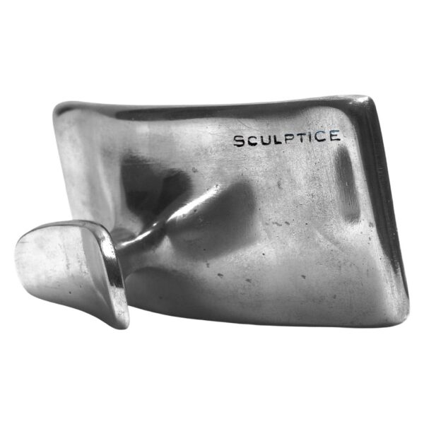 Metal Mushroom - Metal Therapy - Silver by SculptICE